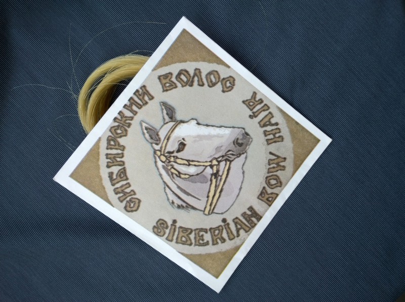 Par Arcus Vioara/Viola Siberian