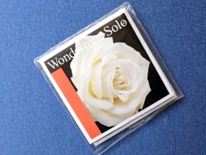 Corzi Vioara Pirastro Wondertone Solo